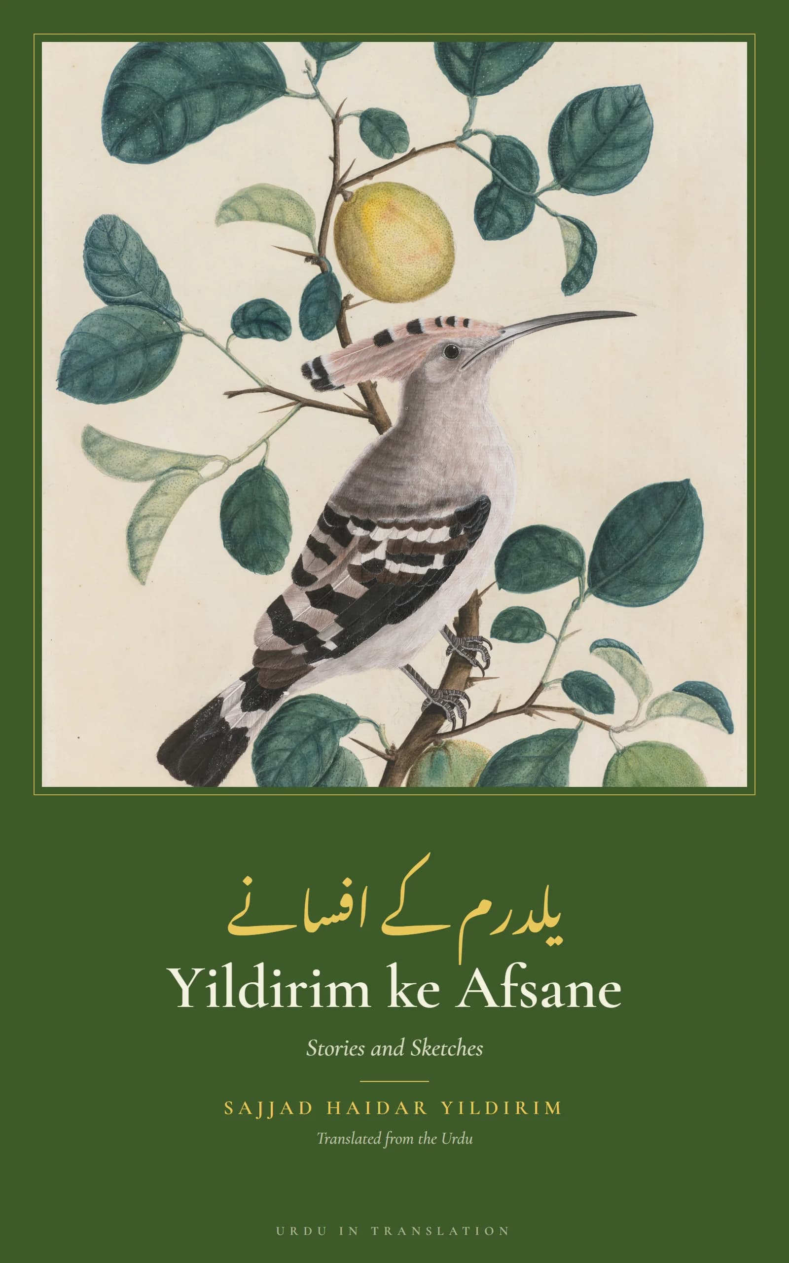 Cover of Yildirim ke Afsane (Stories and Sketches of Sajjad Haidar Yildirim) by Sajjad Haidar Yildirim